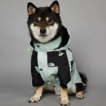 Windproof and Waterproof Outdoor Windbreaker for Large Dogs