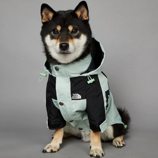 Windproof and Waterproof Outdoor Windbreaker for Large Dogs