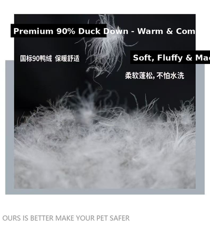Blingbling Winter Dog Down Jacket- Female&Male Dogs/Detachable Hat