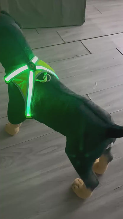 USB Rechargeable LED Pet Harness – X-Cross Dual Light Strips