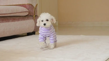 Belly & Full Coverage Dog Pajamas
