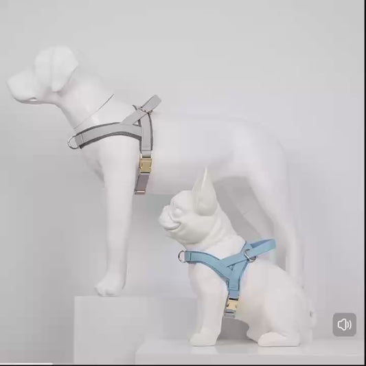 Pet Harness and Leash Set – Lightweight Breathable Vest for Dogs